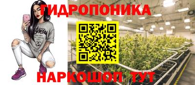 spice Лесосибирск