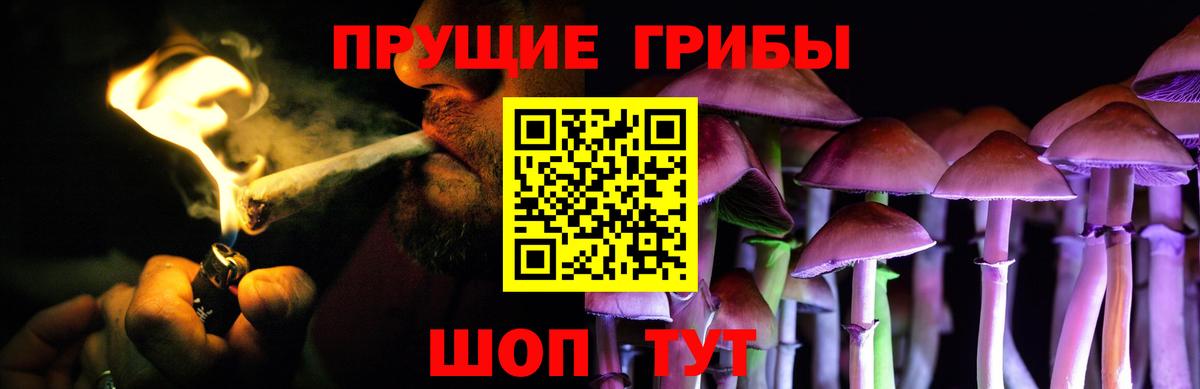 Гусь-Хрустальный  Псилоцибиновые грибы прущие грибы  Вход с VPN 