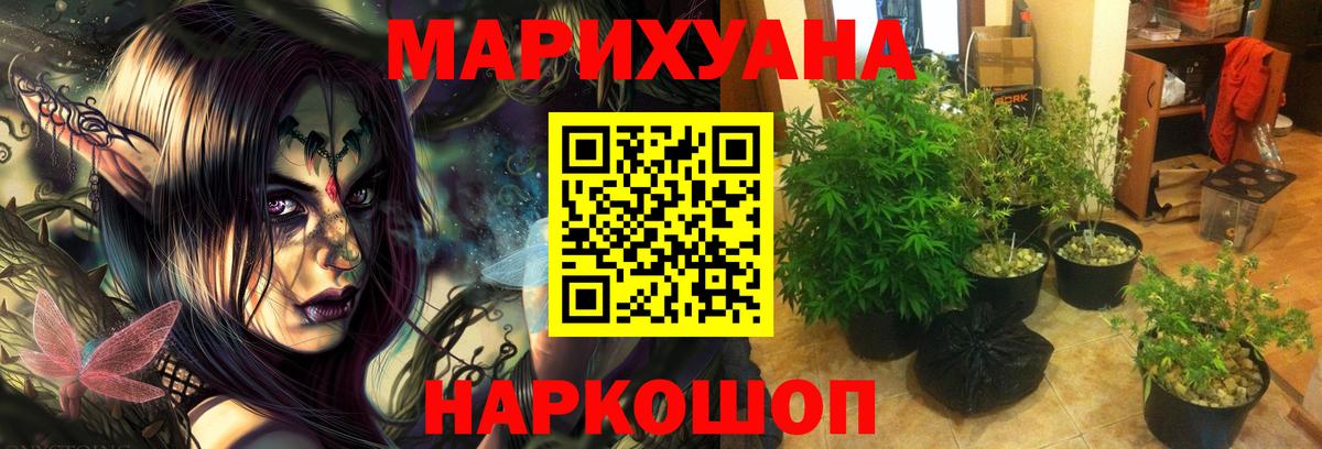 Каннабис сатива Гусь-Хрустальный